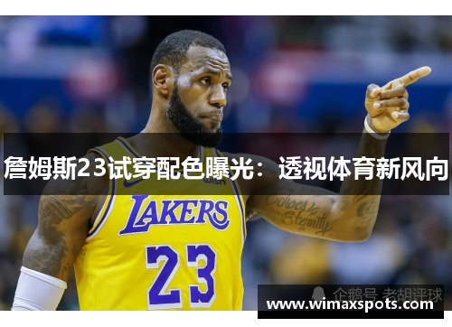 詹姆斯23试穿配色曝光:透视体育新风向